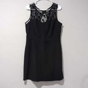 Lauren Conrad poka dot sheer‎ dress midi length 14 Black